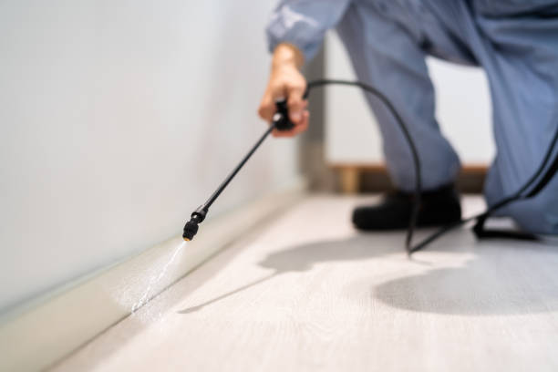 Licensed Fumigation Services service in Rainelle, WV - Nex Pest Control