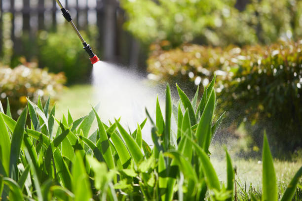24/7 Emergency Fumigation Services experts in Rainelle, WV
