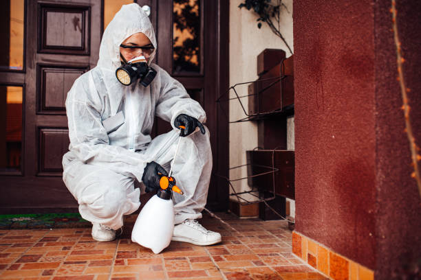Reliable Fumigation Services contractor in Rainelle, WV by Nex Pest Control