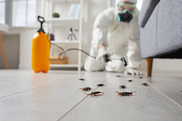 Trusted Rodent Control service in Rainelle, WV - Nex Pest Control