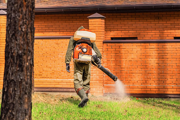 Trusted Mosquito Control service in Rainelle, WV - Nex Pest Control